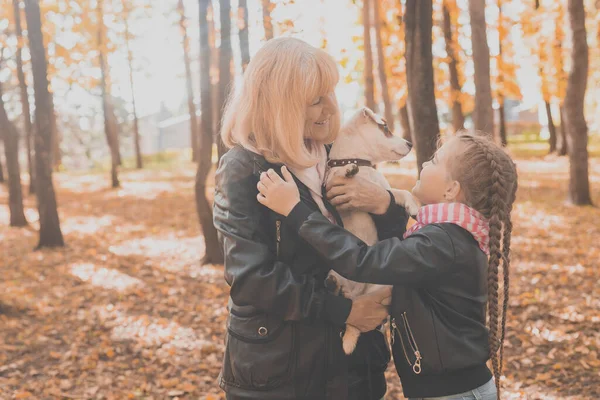 Abuela con nieta en el parque de otoño, niña abrazando a la abuela y su gato russell terrier perro. Generaciones, mascotas y concepto familiar. —  Fotos de Stock