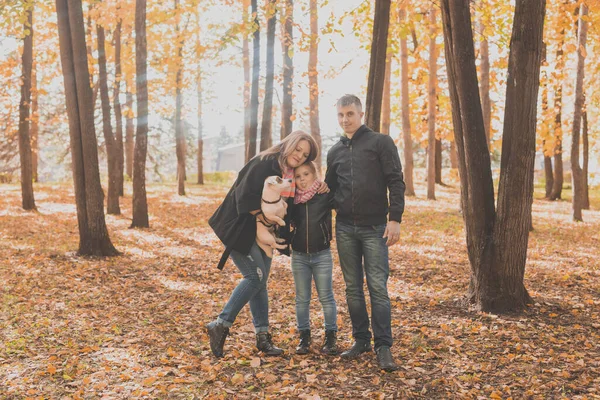 Aile, sonbahar parkında bir köpekle vakit geçirir. Baba, anne, kız ve Jack Russell teriyer köpeği sonbaharda eğleniyorlar. — Stok fotoğraf