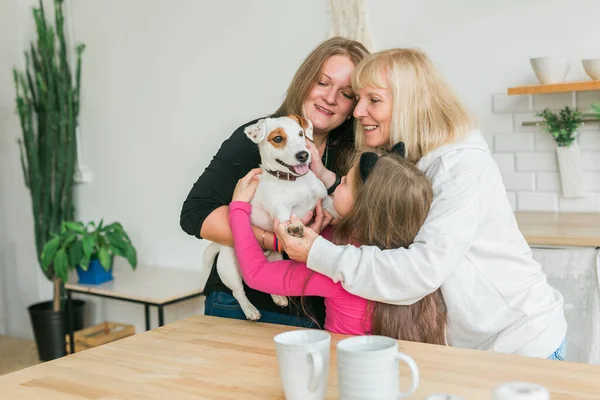 Boldog unoka, nagymama és lánya szórakoznak Jack Russell terrier kutyájával. A nagyi megöleli az unokáját otthon. Kapcsolat, család és három generációs koncepció. — Stock Fotó