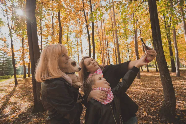 Мати, бабуся і маленька онучка з джек-російським тер'єром собака бере селфі за допомогою смартфона на відкритому повітрі восени. Сім'я, домашні тварини та концепція покоління — стокове фото