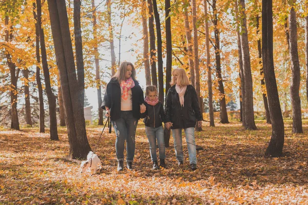 Büyük anne ve torunu sonbahar parkında birlikte yürüyüp eğleniyorlar. Nesil, eğlence ve aile kavramı. — Stok fotoğraf