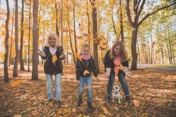 Büyükannem ve torunum sonbahar parkında sonbahar yapraklarını kusup eğleniyorlar. Nesil, eğlence ve aile kavramı. — Stok fotoğraf