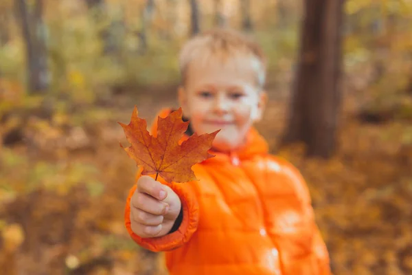 Porträtt av glad pojke i orange jacka i höstparken ger lönnlöv. Höstsäsong och barnkoncept. — Stockfoto