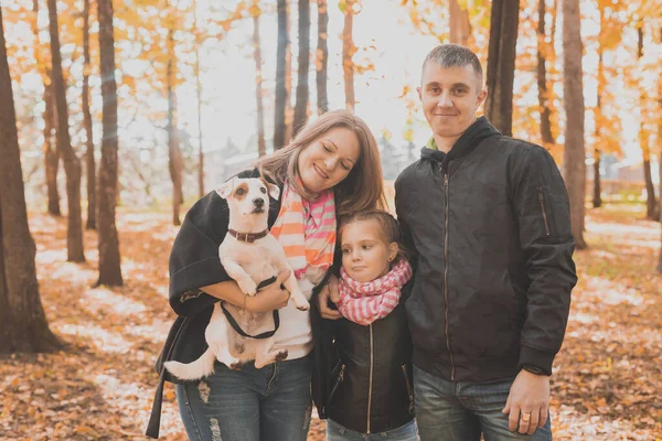 家族は犬と一緒に秋の公園で時間を過ごします。父、母と娘とジャック・ラッセルテリア犬は秋に楽しんでいます — ストック写真