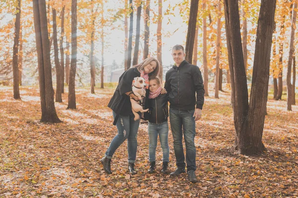 가족들은 개와 함께 가을 공원에서 시간을 보낸다. 가을에 놀고 있는 아빠, 엄마, 딸 그리고 잭 러셀 테리어 강아지 — 스톡 사진