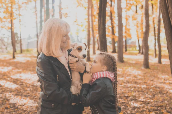 Mormor med barnbarn i höstparken, flicka kramande mormor och hennes jack russell terrier hund. Generationer, sällskapsdjur och familj. — Stockfoto