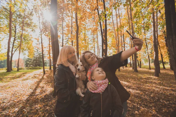 Üç kuşak kadın ve köpek birlikte fotoğraf çektirmek için fotoğraf makinesine bakıyorlar, eğlenceli çocuklar, anne ve büyükanne haftasonu eğleniyor sonbaharda aletle selfie çekiyorlar. — Stok fotoğraf