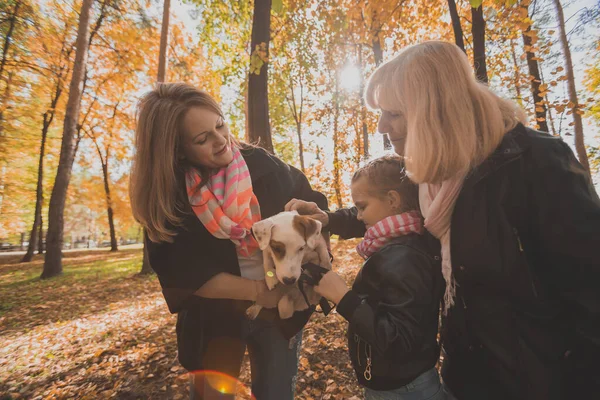 Mormor och mor med barnbarn som har roligt med hunden under höstsäsongen. Begreppet generation, fritid och familj — Stockfoto