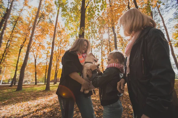 Nonna e madre con nipote divertirsi con il cane nella stagione autunnale. Generazione, tempo libero e concetto di famiglia — Foto Stock