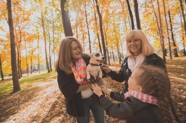 Büyük anne ve torunu güz mevsiminde köpekle eğleniyorlar. Nesil, eğlence ve aile kavramı