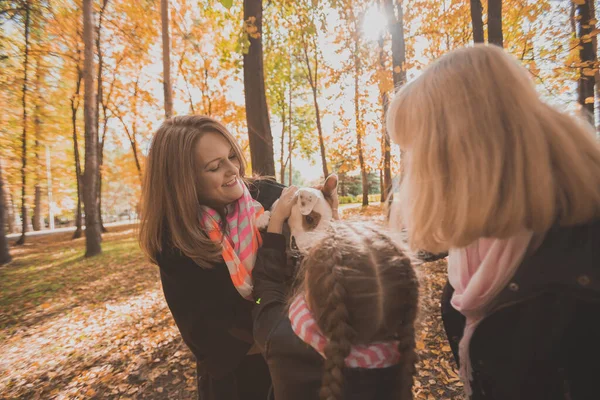 Büyük anne ve torunu güz mevsiminde köpekle eğleniyorlar. Nesil, eğlence ve aile kavramı — Stok fotoğraf
