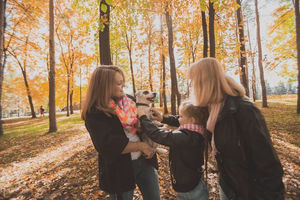 Мать, бабушка и дочь держат Джека Рассела терьера и играют с ним осенью на улице. Концепция домашних животных и семьи — стоковое фото