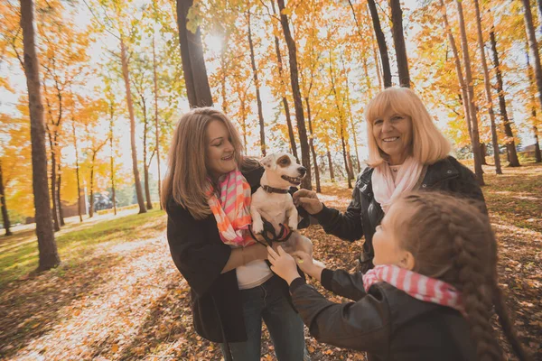 Abuela y madre con nieta divirtiéndose con el perro en temporada de otoño. Generación, ocio y concepto familiar —  Fotos de Stock