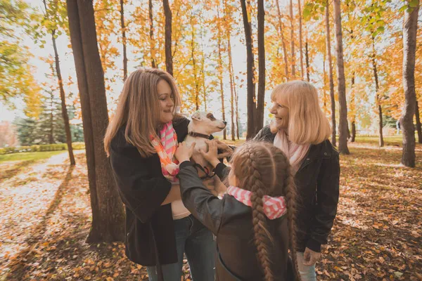 Büyük anne ve torunu güz mevsiminde köpekle eğleniyorlar. Nesil, eğlence ve aile kavramı — Stok fotoğraf