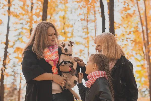 Anne, büyükanne ve kızı Jack Russell Terrier 'ı tutuyor ve sonbaharda onunla dışarıda oynuyor. Hayvan ve aile kavramı — Stok fotoğraf