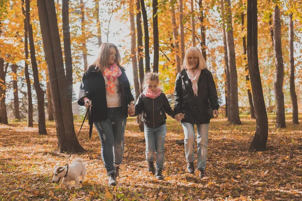 Abuela y madre con nieta caminan juntas en el parque de otoño y se divierten. Generación, ocio y concepto familiar. —  Fotos de Stock