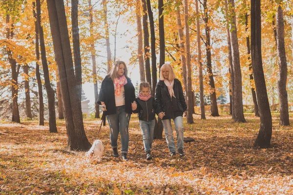 Бабушка и мама с внучкой гуляют вместе в осеннем парке и веселятся. Поколение, отдых и семейная концепция. — стоковое фото