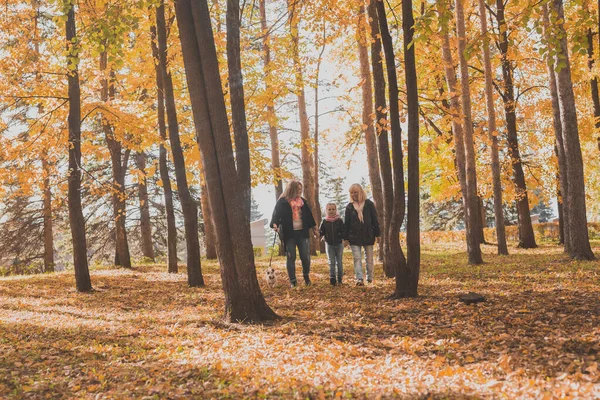 Grootmoeder en moeder met kleindochter wandelen samen in het najaarspark en hebben plezier. Generatie-, vrijetijds- en gezinsconcept. — Stockfoto