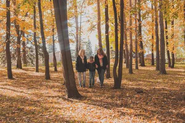 Avó e mãe com neta caminha juntos no parque de outono e se divertindo. Conceito de geração, lazer e família. — Fotografia de Stock