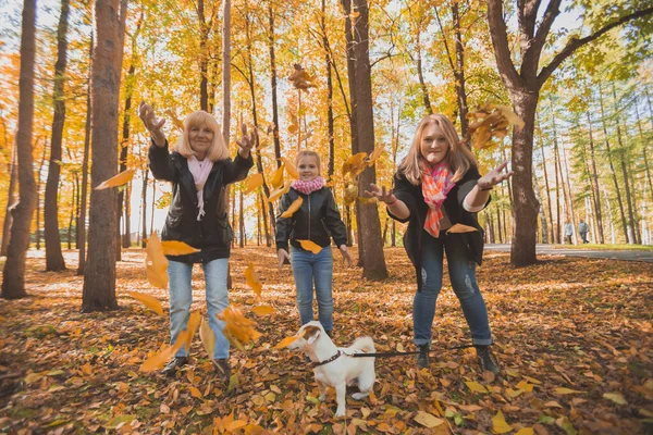 Babička a matka s vnučkou zvracejí podzimní listí v podzimním parku a baví se. Generování, volný čas a rodinný koncept. — Stock fotografie