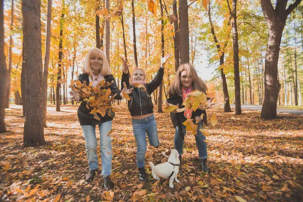 Mormor och mor med barnbarn kräks höstlöv i höstparken och har roligt. Begreppet generation, fritid och familj. — Stockfoto