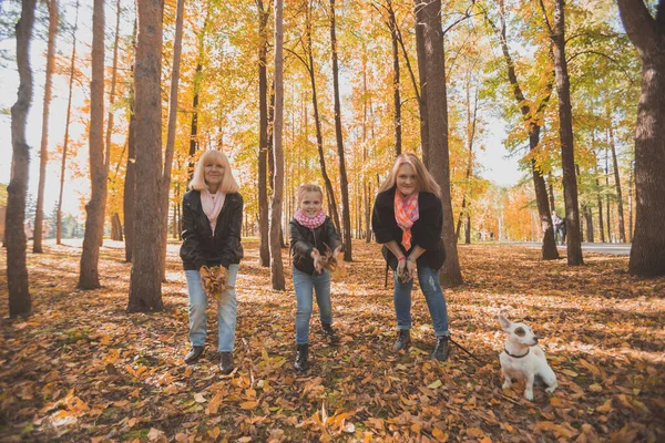 Babička a matka s vnučkou zvracejí podzimní listí v podzimním parku a baví se. Generování, volný čas a rodinný koncept. — Stock fotografie