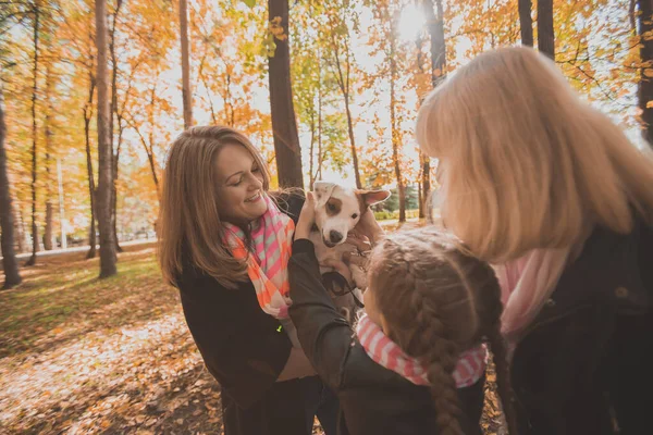 Mor och mormor och dotter håller Jack Russell terrier och leker med den på hösten utanför. Djur- och familjebegreppet — Stockfoto