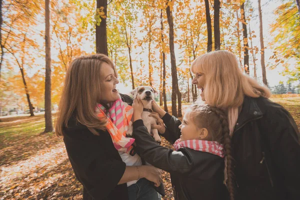 Abuela y madre con nieta divirtiéndose con el perro en temporada de otoño. Generación, ocio y concepto familiar —  Fotos de Stock