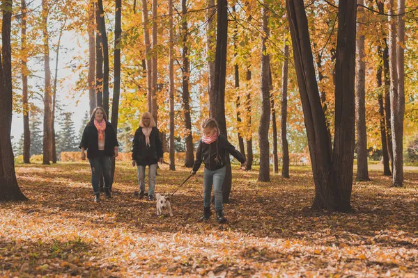 Маленька дівчинка біжить зі своїм собакою Джек-рос-тер'єром серед осіннього листя. Мати і бабуся йдуть позаду — стокове фото