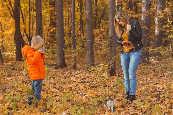Мальчик-фотограф фотографирует кошку в парке осенью. Мама смотрит на это. Домашние животные, фотоискусство и концепция отдыха. — стоковое фото