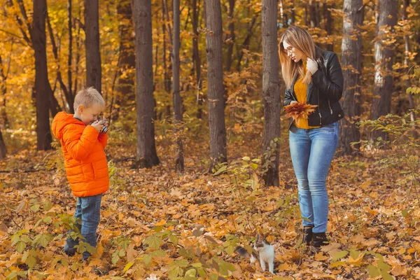 Fotógrafo menino tira fotos de um gato no parque no outono. A mãe olha para isto. Pet, foto arte e lazer conceito. — Fotografia de Stock