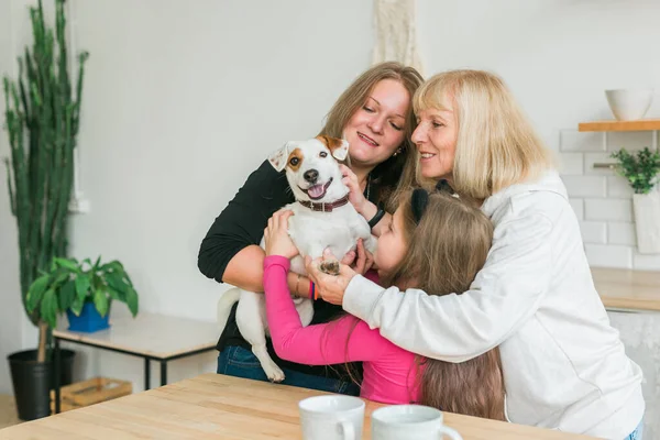 Bonne petite-fille et grand-mère et fille s'amuser avec Jack Russell terrier chien. Pet, famille et concept de trois générations. — Photo
