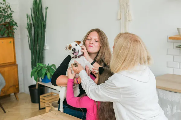 Feliz nieta y abuela e hija divirtiéndose con Jack Russell Terrier Dog. Mascotas, familia y concepto de tres generaciones. — Foto de Stock