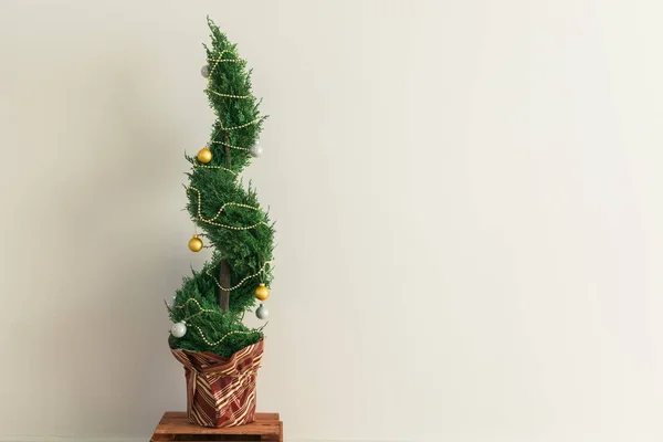 Kapalı yerde selvi ya da tenceredeki haydut topları Noel ağacı gibi süslüyor. Noel için alternatif ağaçlar. Reklam için alanı ve alanı kopyala — Stok fotoğraf