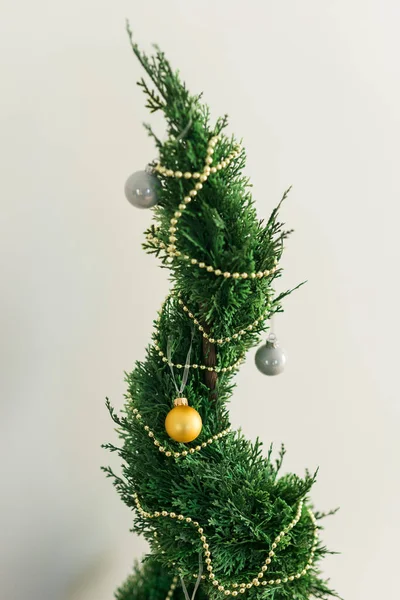 Cipreste interior ou thuja no pote está decorando bolas como a árvore de Natal. Árvores alternativas para Natal . — Fotografia de Stock