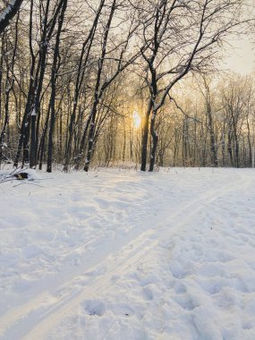 Kış günbatımı karla kaplı parkta. Mevsim ve soğuk hava kavramı