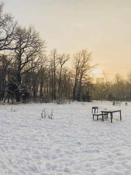 Coucher de soleil d'hiver dans un parc enneigé. Concept saison et temps froid — Photo