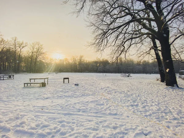 Coucher de soleil d'hiver dans un parc enneigé. Concept saison et temps froid — Photo