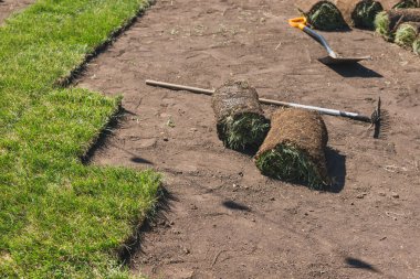 Yeni bahçe çimenliği için çimenlik konsepti.