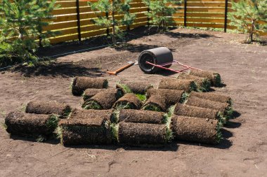 Yeni bahçe çimenliği için çimen sermek - çimenlik