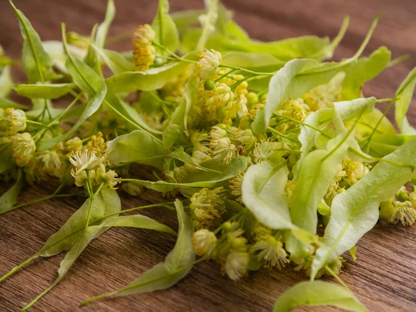 Bunch Linden Flowers Leaves Wooden Table Linden Herbal Tea Herbal — Stok Foto