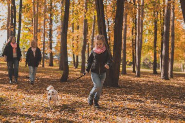 Sonbahar yaprakları arasında köpeği Jack Russell Terrier ile koşan küçük bir kız. Annem ve büyükannem arkada yürüyor..