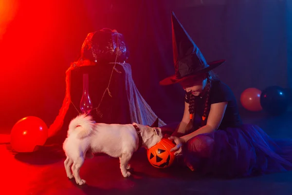 Chica Divertida Niño Traje Halloween Bruja Jugando Con Espeluznante Gato — Foto de Stock