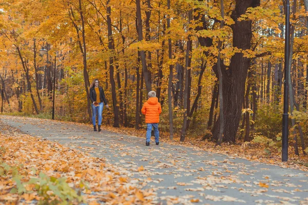 Mãe Filho Caminhando Parque Outono Desfrutando Bela Natureza Outono Temporada — Fotografia de Stock