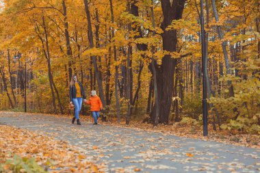 Anne ve oğlu sonbahar parkında yürüyor ve güzel sonbahar doğasının tadını çıkarıyorlar. Sezon, yalnız ebeveynler ve çocuklar konsepti