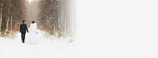Noiva Noivo Nas Florestas Inverno — Fotografia de Stock