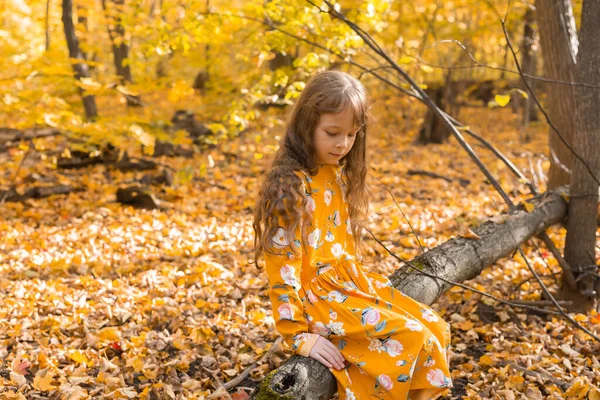 Liten Flicka Med Höstorange Löv Park Livsstil Höstsäsong Och Barnkoncept — Stockfoto