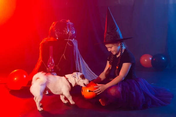 Halloween Och Firande Koncept Barnflicka Häxdräkt Med Halloween Pumpa Leker — Stockfoto