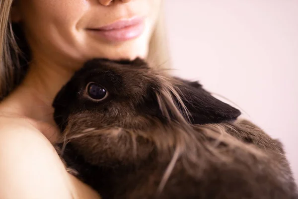 실내에 귀여운 토끼가 귀여운 — 스톡 사진