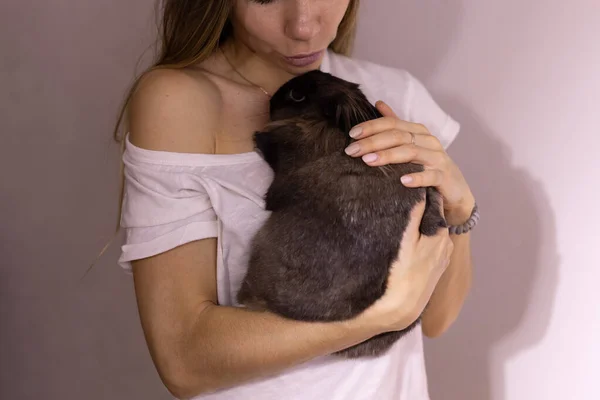 Крупный План Девушка Очаровательным Кроликом Помещении Закрыть Любимые Животные Домашние — стоковое фото